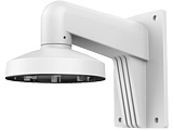 Produktfoto Hikvision_DS-1273ZJ-140-Y_small_22258
